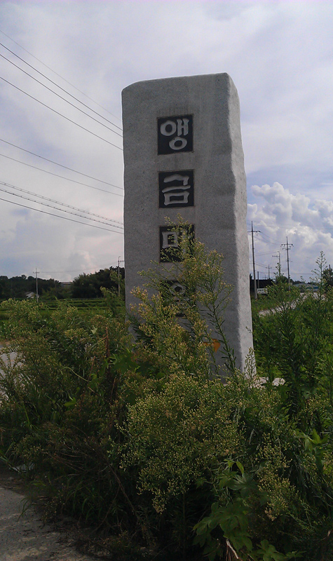 앵금마을