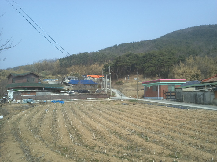 마을 전경