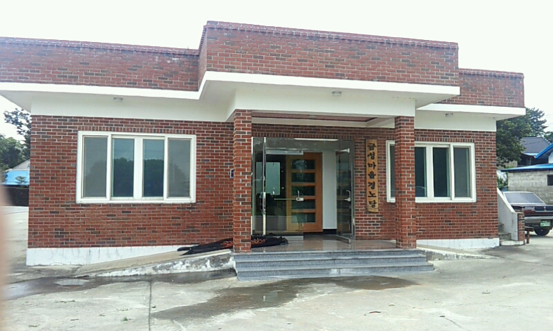 금성마을